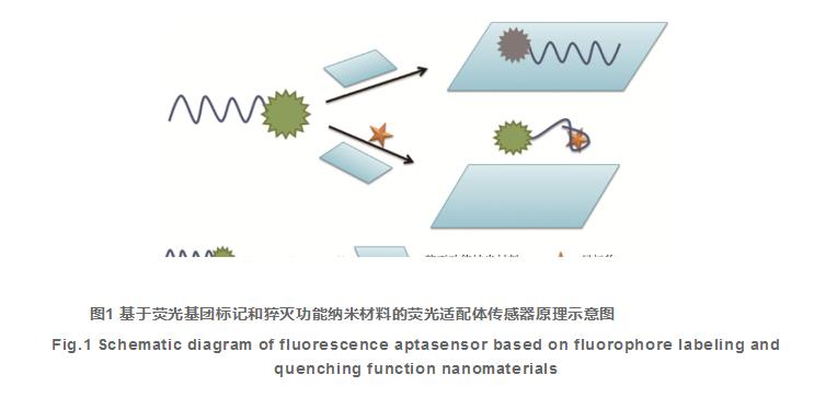 需要复杂的共价修饰或化学标记,与非标记型适配体传感器相比成本更高