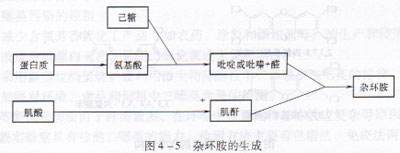 杂环胺（三）