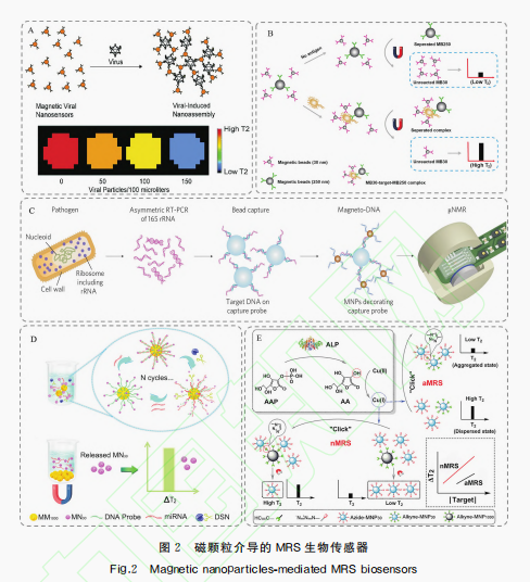 生物传感器