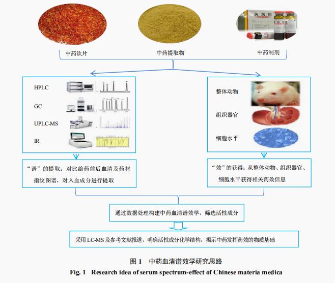  中药血清谱效学研究现状概述（一）
