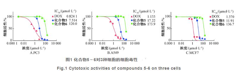 荜茇根化学成分及其抗肿瘤活性