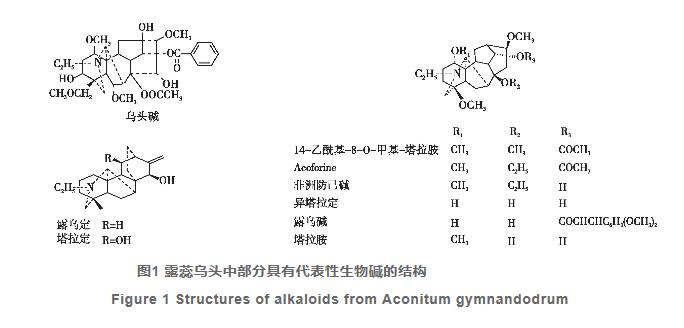  露蕊乌头化学成分和药理活性的研究进展
