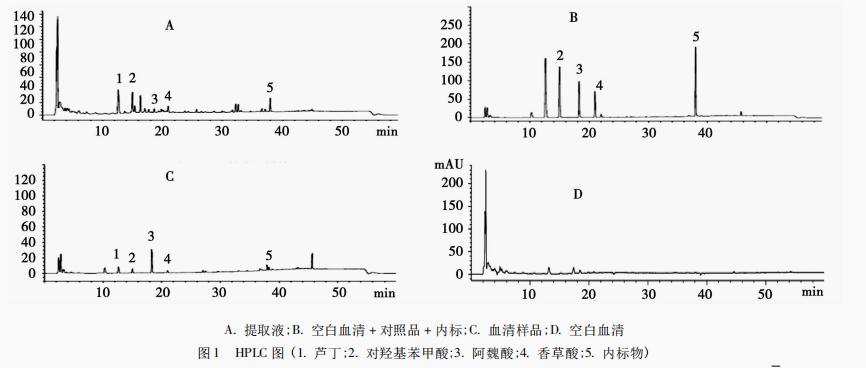 基于血清药物化学的不同产地三棱药材 入血成分的含量测定（二）