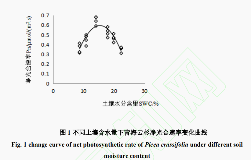 土壤水分含量和光照强度对青海云杉光合 特性的影响（一）