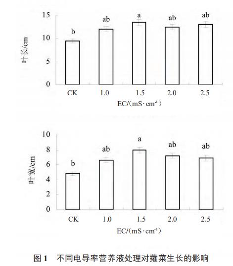 图1 区别电导率营养液解决对于蕹菜愿望的影响