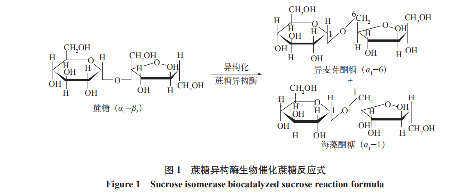 蔗糖異構(gòu)酶生物催化蔗糖反應(yīng)式