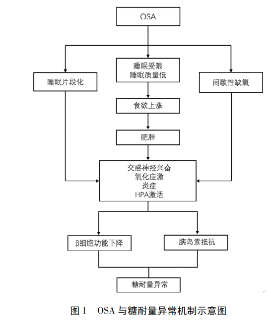  关于六安城区雨污水管网修复封路施工公告