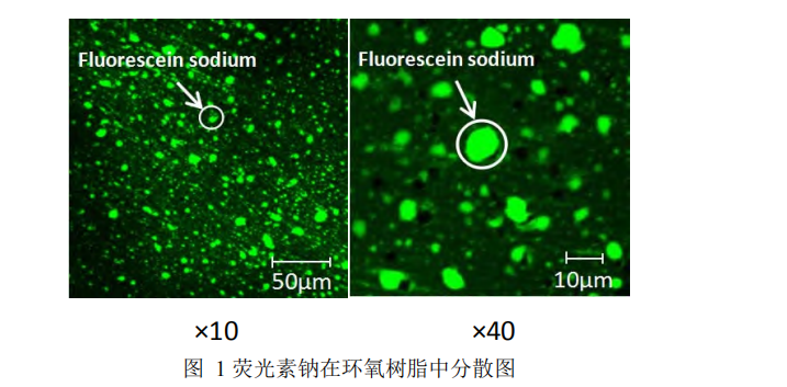 荧光素钠在环氧树脂中分散图