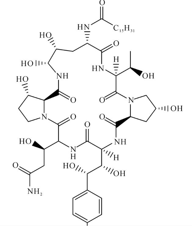  高压制备纽莫康定B0的中试研究（一）