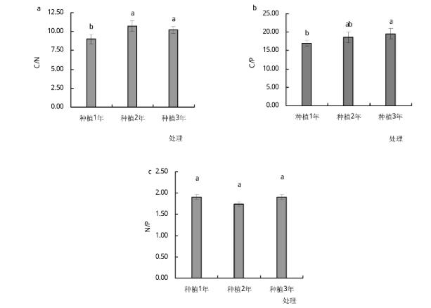 图1 区别种植年限百合土壤C、百合N、土壤碳氮P化学计量比