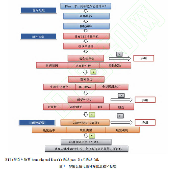 好氧反硝化菌种筛选流程和标准