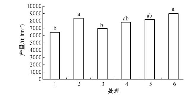 图1 不同施肥处理水稻产量表现