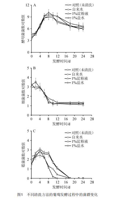 不同洁净度葡萄的葡萄酒发酵效果研究（二）