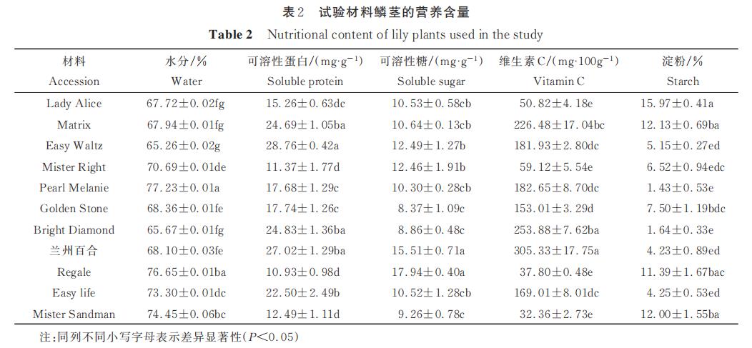 表2 试验材料鳞茎的营养含量