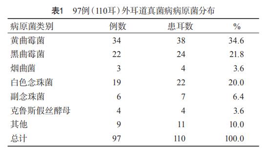 表1 97例（110耳）外耳道真菌病病原菌分布