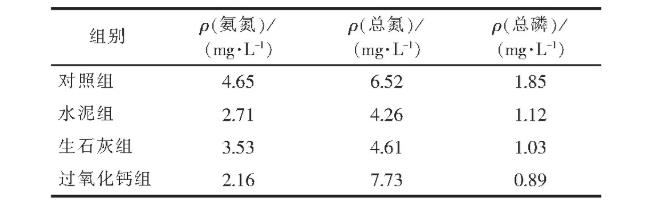 表1 不同修复药剂对底泥的污染释放影响 