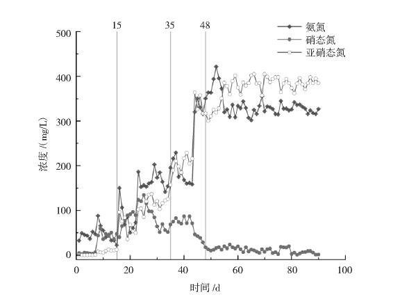 图2 短程硝化反应器中出水氨氮、硝态氮、亚硝态氮含量变化