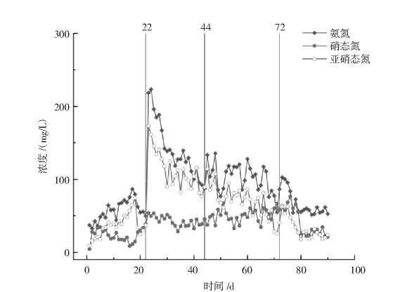 图3 厌氧氨氧化反应器中出水氨氮、硝态氮、亚硝态氮含量变化