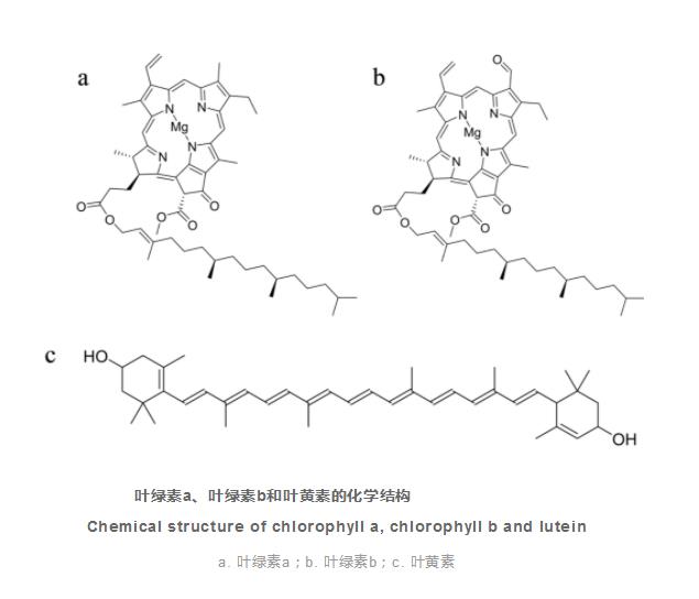  高效液相色谱法准确定量微量植物体中的重要植物色素（一）