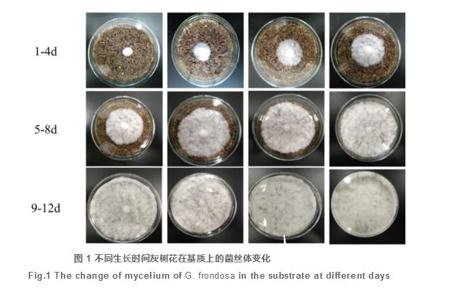 我开空调了是什么梗