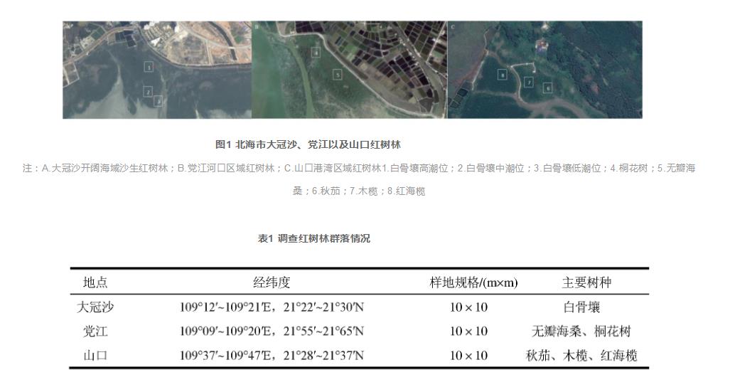  北海市红树林土壤和水质监测研究