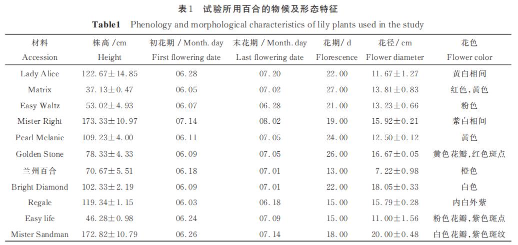 表1 试验所用百合的物候及形态特征