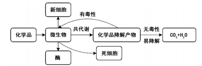 化学品被微生物降解历程