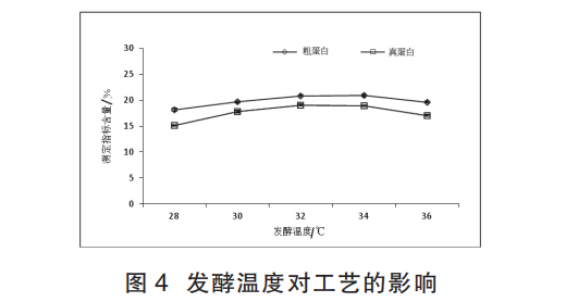 马铃薯薯渣固态发酵生产菌体蛋白饲料的工艺研究二