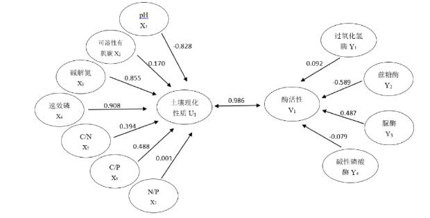 图3 土壤理化性子与酶活性关连系数结构图