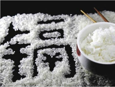 智能消解仪消解食用大米时常见技术问题 