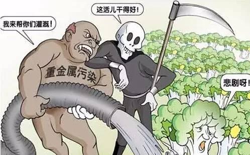 污水中的硝化反应异常问题汇集解析